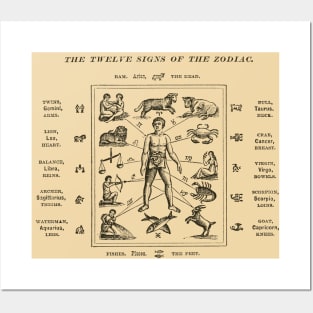 1890 The Twelve Signs of the Zodiac Posters and Art